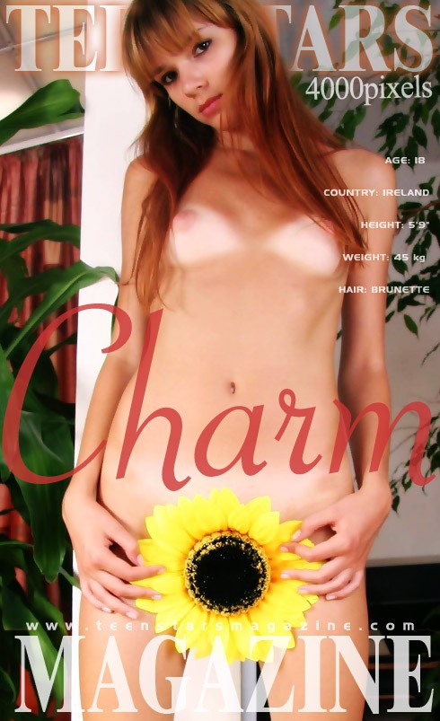 Charm - for TSM MODELS Charm - for TSM MODELS